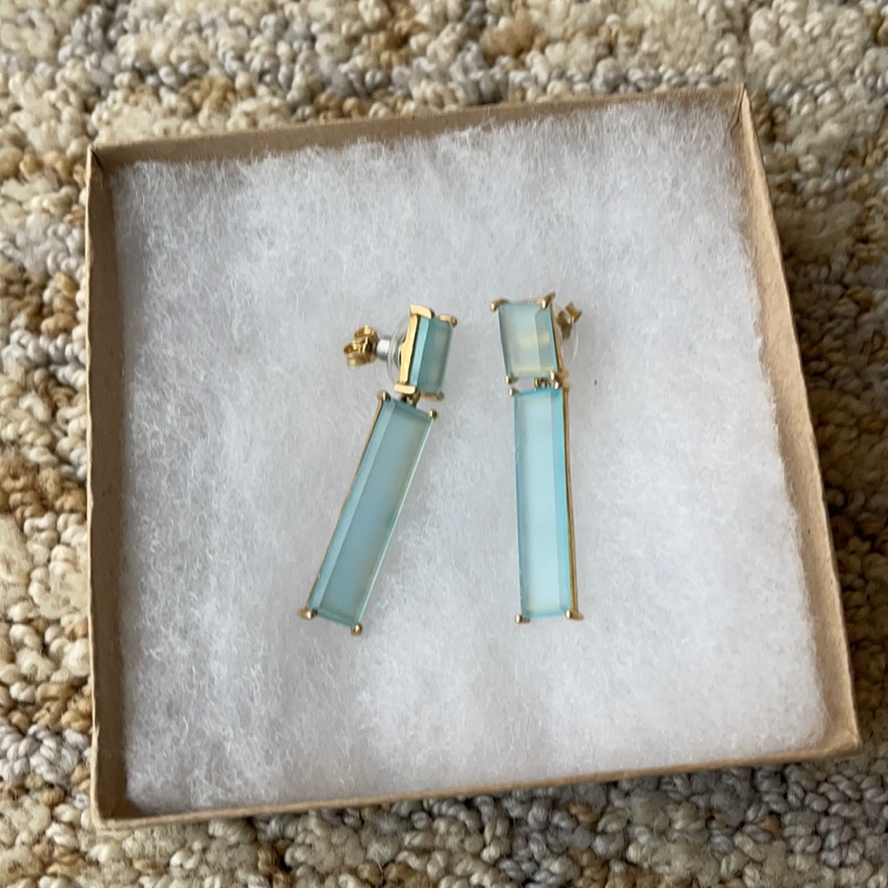 Blue Crystal Statement Earrings